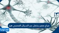 فراغ صغير ينتقل عبر السيال العصبي هو
