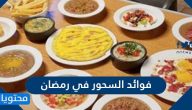 ما هي فوائد السحور في رمضان وأهمية السحور بالنسبة للصائم