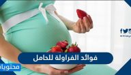 فوائد الفراولة للحامل واهم الفواكة الضروورية للحامل