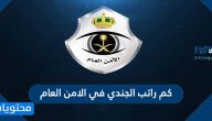 كم راتب الجندي في الامن العام 1447