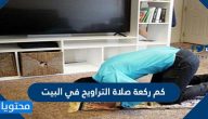 كم ركعة صلاة التراويح في البيت؟