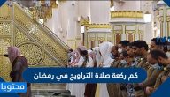 كم ركعة صلاة التراويح في رمضان؟