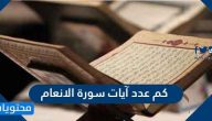 كم عدد آيات سورة الانعام