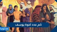 كم عدد اخوة يوسف