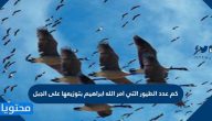 كم عدد الطيور التي امر الله ابراهيم بتوزيعها على الجبل