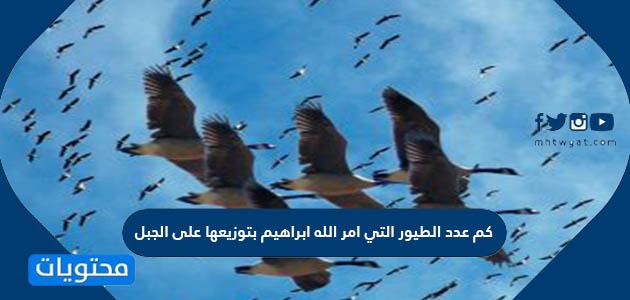 كم عدد الطيور التي امر الله ابراهيم بتوزيعها على الجبل