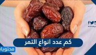 كم عدد انواع التمر وتوزيعها في السعودية والوطن العربي