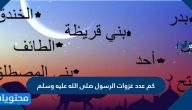 كم عدد غزوات الرسول صلى الله عليه وسلم