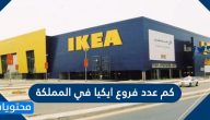 كم عدد فروع ايكيا في المملكة