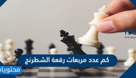 كم عدد مربعات رقعة الشطرنج وحركة كل قطعة