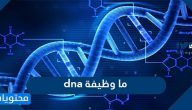 ما وظيفة dna وما مكوناته واستخداماته وما الفرق بينه وبين RNA