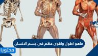 ماهو اطول واقوى عظم في جسم الانسان