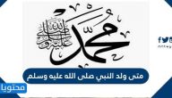 متى ولد النبي صلى الله عليه وسلم