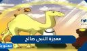 ما هي معجزة النبي صالح