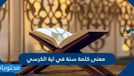 معنى كلمة سنة في آية الكرسي
