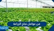 من عوامل نجاح الزراعة