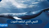 من هو النبي الذي ابتلعه الحوت