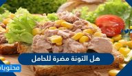 هل التونة مضرة للحامل