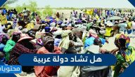 هل تشاد دولة عربية