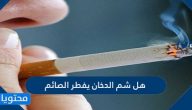 هل شم الدخان يفطر الصائم