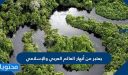 يعتبر من أنهار العالم العربي والإسلامي