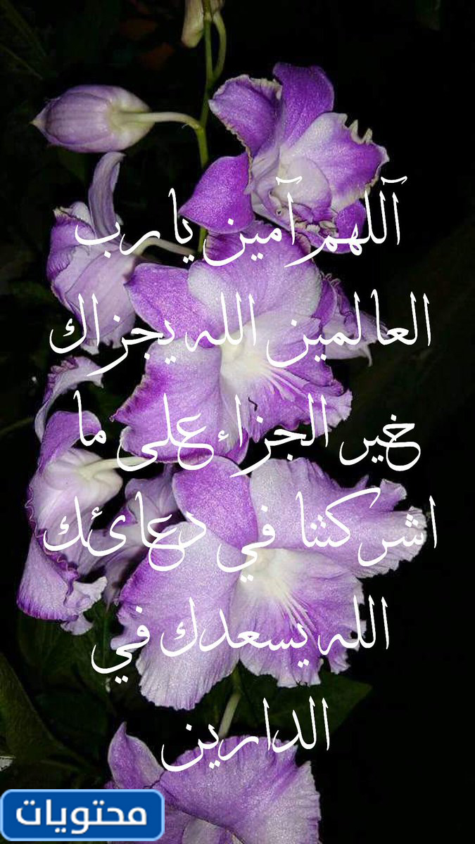 اذا احد قالك جزاك الله خير وش ترد عليه موقع محتويات