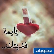 الرد على فديتك اذا احد قال فديتك وش ارد موقع محتويات