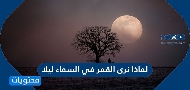 لماذا نرى القمر في السماء ليلا موقع محتويات