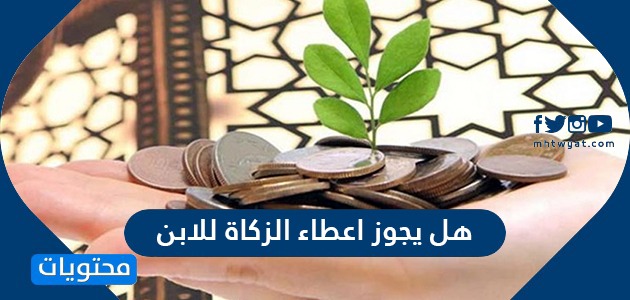 هل يجوز اعطاء الزكاة للابن موقع محتويات