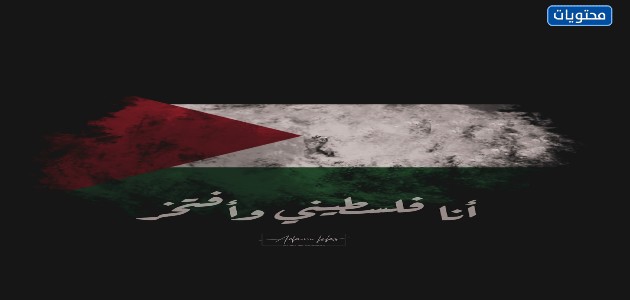 صور بوستات عن فلسطين