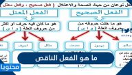 ما هو الفعل الناقص