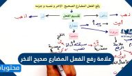 علامة رفع المضارع صحيح الاخر