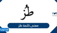 معنى كلمة طز