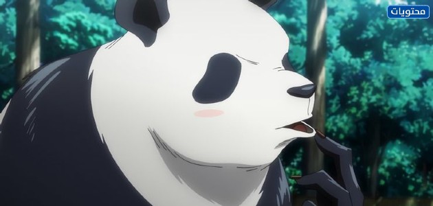 شخصية باندا (panda)