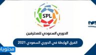الفرق الهابطة في الدوري السعودي 2021