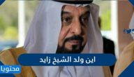 اين ولد الشيخ زايد