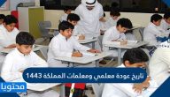تاريخ عودة معلمي ومعلمات المملكة 1443