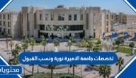 تخصصات جامعة الاميرة نورة ونسب القبول