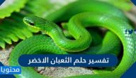 تفسير حلم الثعبان الاخضر بالتفصيل