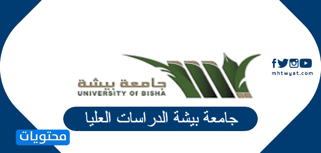 جامعة بيشه القبول