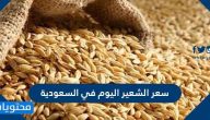 سعر الشعير اليوم في السعودية