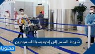 شروط السفر إلى إندونيسيا للسعوديين بعد فتح السفر 2021
