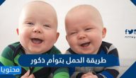 طريقة الحمل بتوأم ذكور