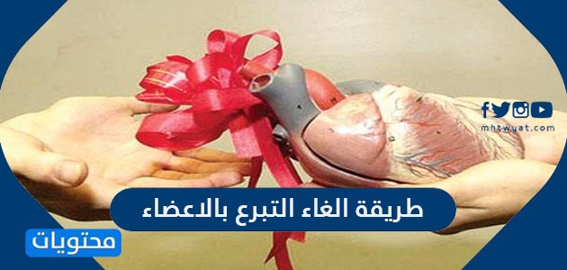 طريقة الغاء التبرع بالاعضاء عبر توكلنا والمركز السعودي لزراعة الاعضاء