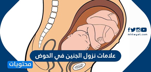علامات نزول الجنين في الحوض وأسباب عدم نزوله للحوض بالشهر التاسع