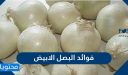 فوائد البصل الابيض للجسم والوقاية من بعض الأمراض