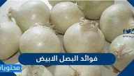 فوائد البصل الابيض للجسم والوقاية من بعض الأمراض