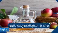 فوائد خل التفاح العضوي على الريق