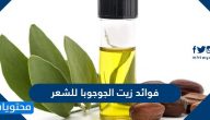 فوائد زيت الجوجوبا للشعر
