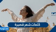 كلمات شعر قصيرة